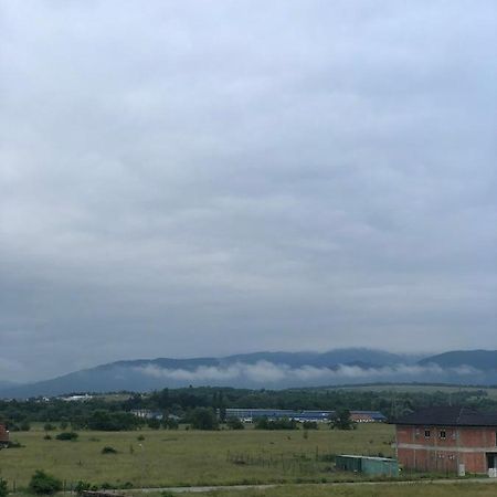 Rene Ap Appartamento Cisnădie Esterno foto
